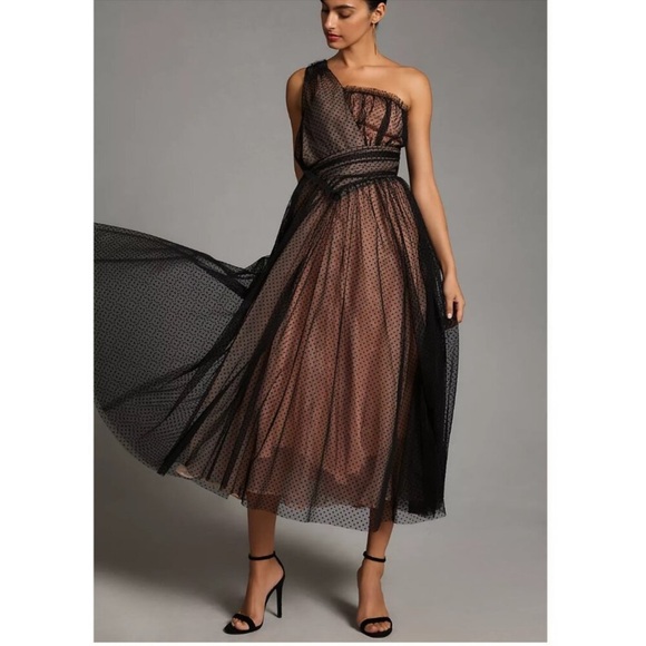 Anthropologie Dresses & Skirts - Anthropologie Tulle Dot Maxi Dress